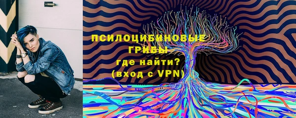амф Покачи