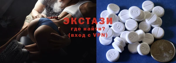 ECSTASY Болотное