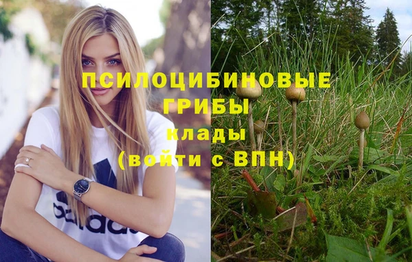 хмурый Вязьма