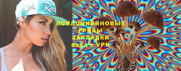 крисы Вяземский