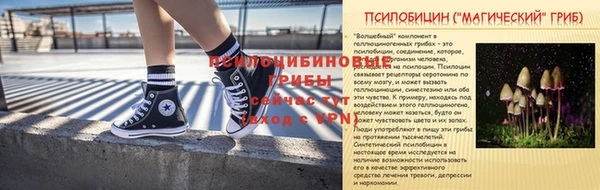 ECSTASY Болотное