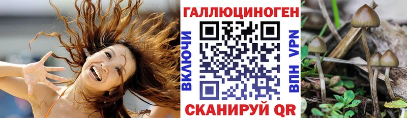 Псилоцибиновые грибы Magic Shrooms Дно